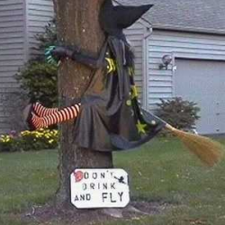 Don't drink and fly